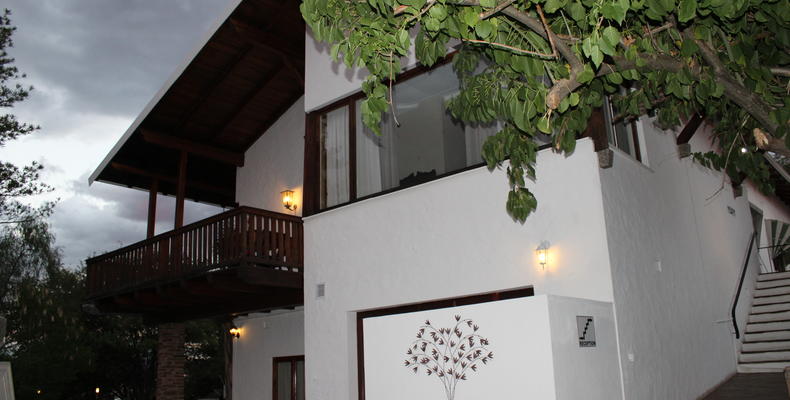 Entrance Stairs 