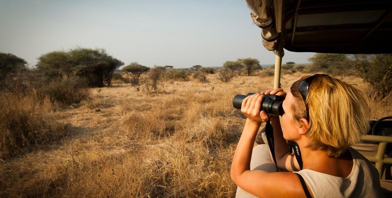 Game drives