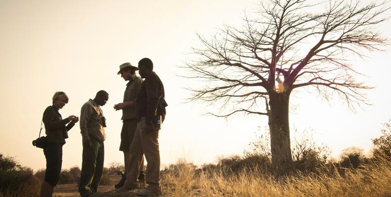 Walking safari