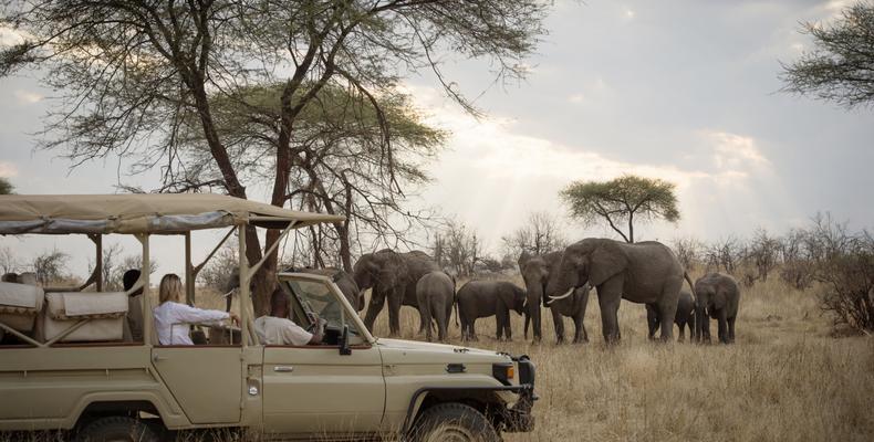 Game drive