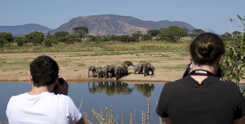 Walking safari