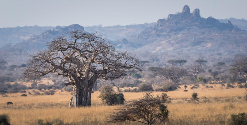 Ruaha