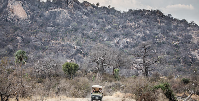 Game drives