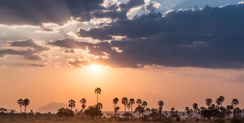 Sunset in Ruaha is tough to beat