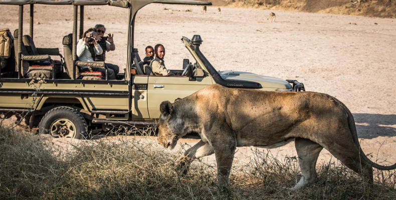 Game drive