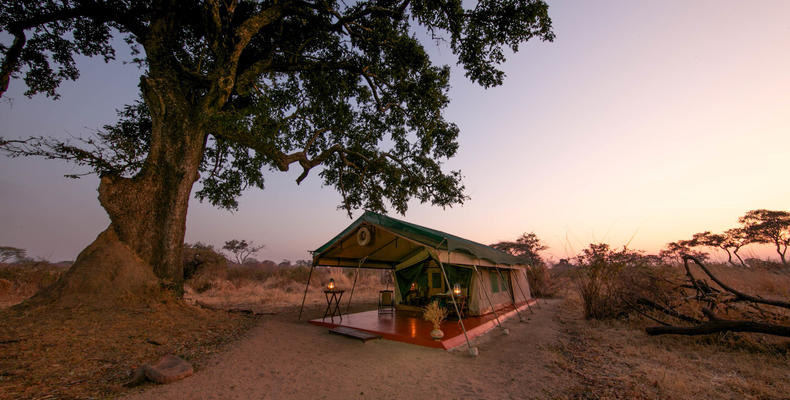 Tent at sunset