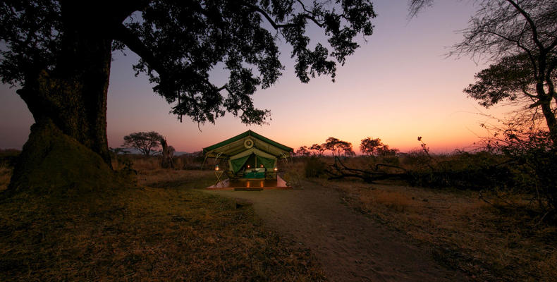 Tent at sunset