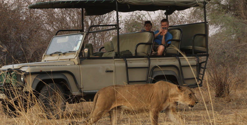 Game Drive
