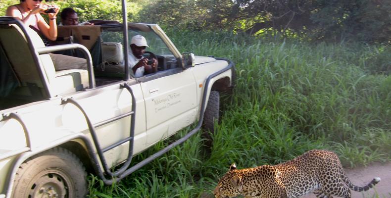 Game Drive