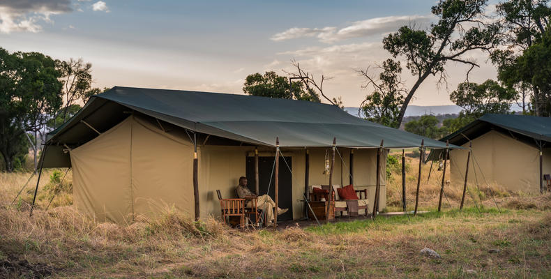 Standard Tent