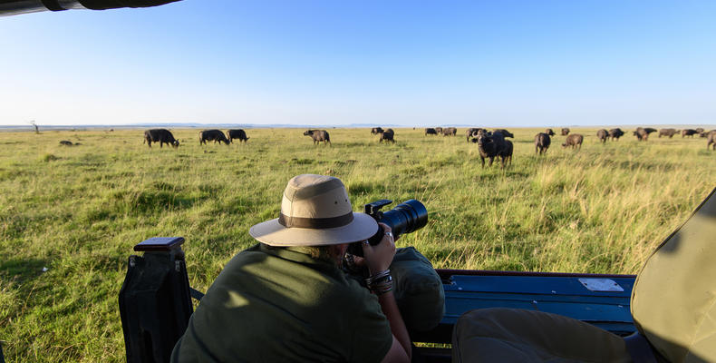 Photography Safaris