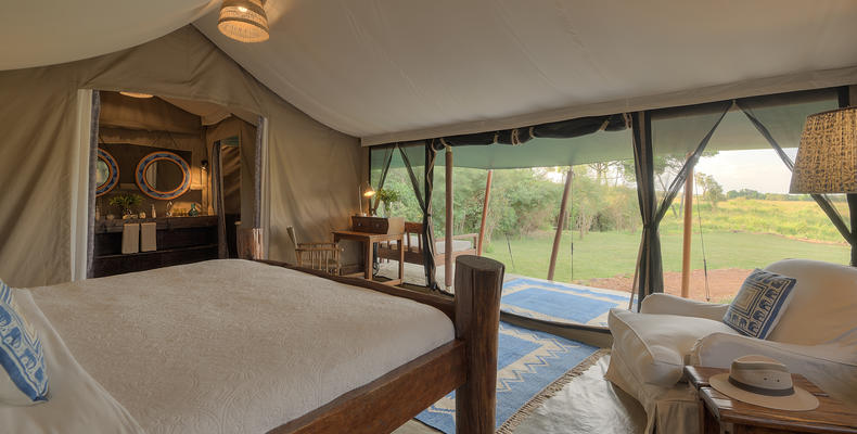 View from Tent
