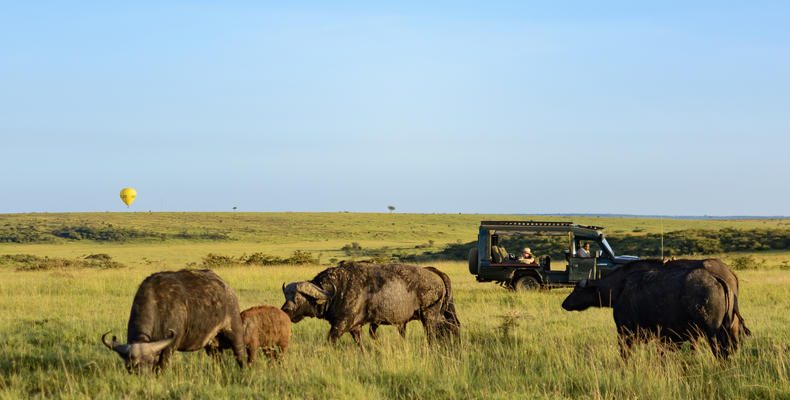 Game Drive