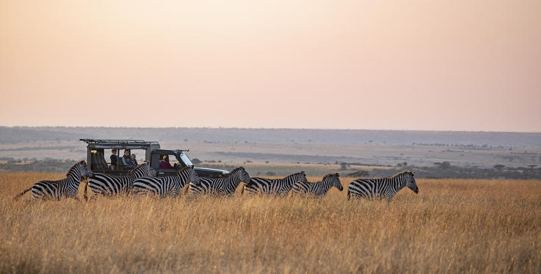 Out on the stunning plains