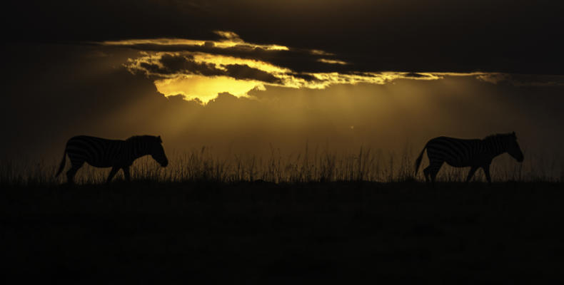 Mara sunsets