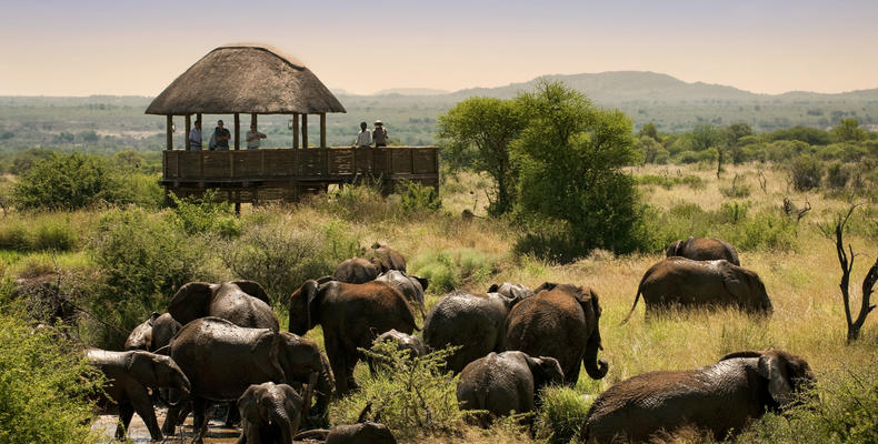 Morukuru Family Madikwe - hide overlooking waterhole