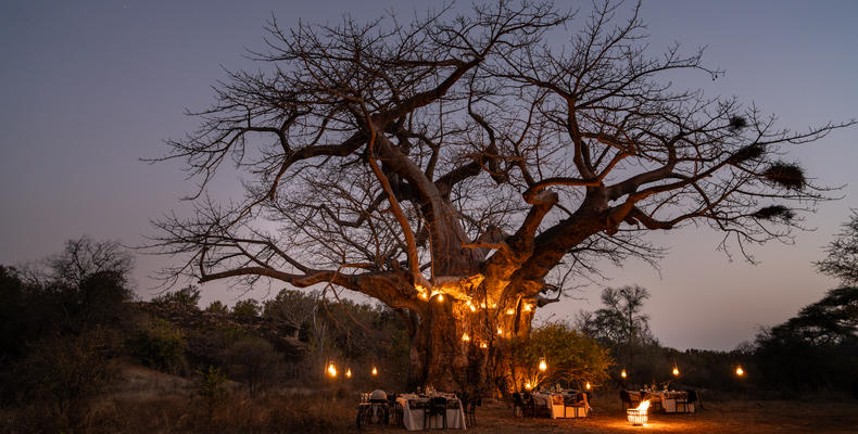 Singita Pamushana Lodge