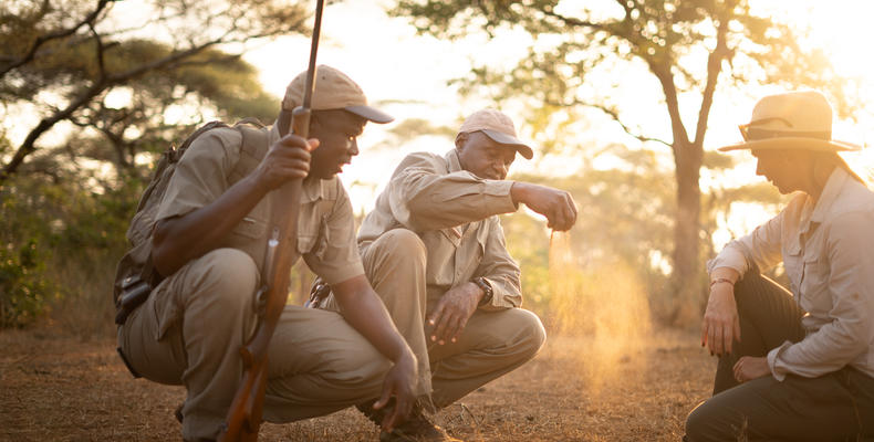 Singita Pamushana Lodge