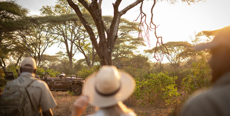 Singita Pamushana Lodge