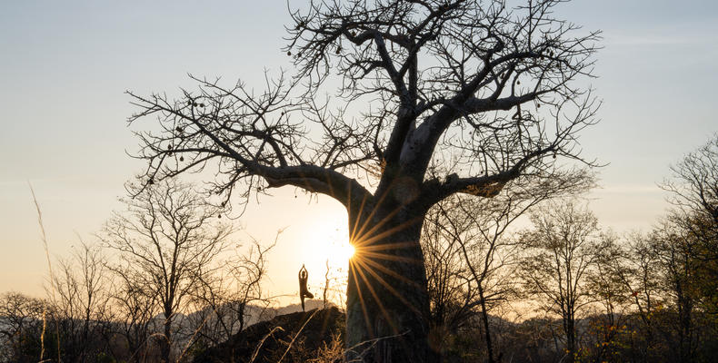 Singita Pamushana Lodge