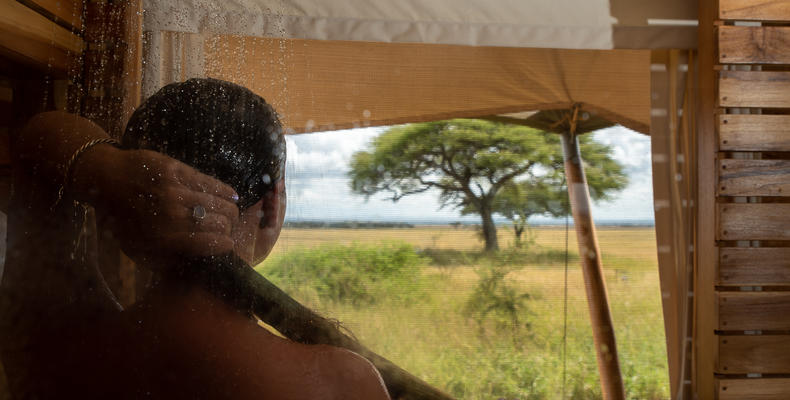 View from the Shower