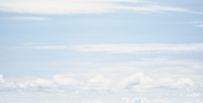 Wildlife views in the Mara