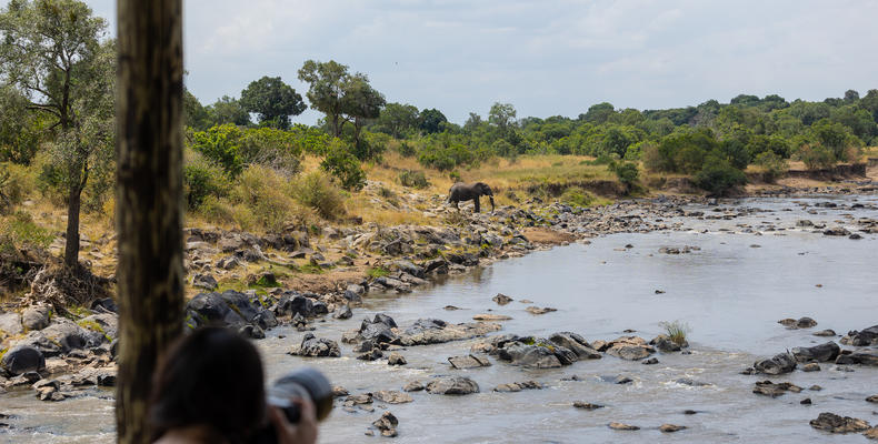 Wildlife photoography