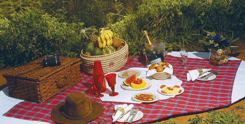 Tarangire Sopa Lodge