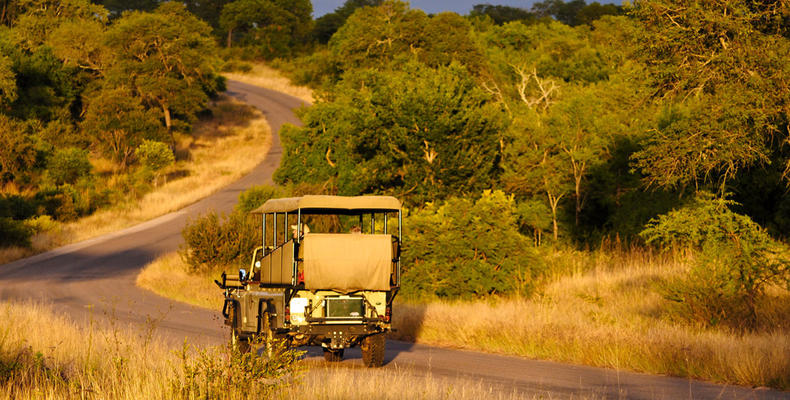 umSisi House and Kruger National Park Day Safaris