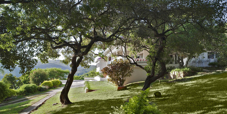 umSisi House Through the Trees