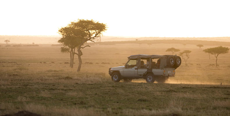 Activities - Game Drive