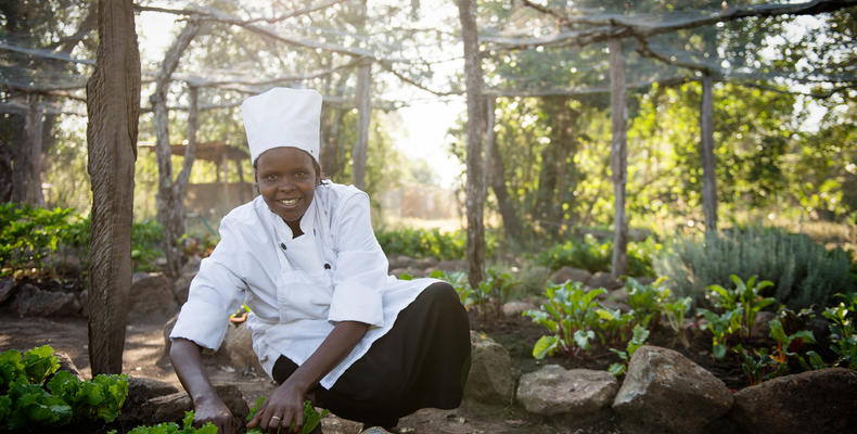 Farm to table