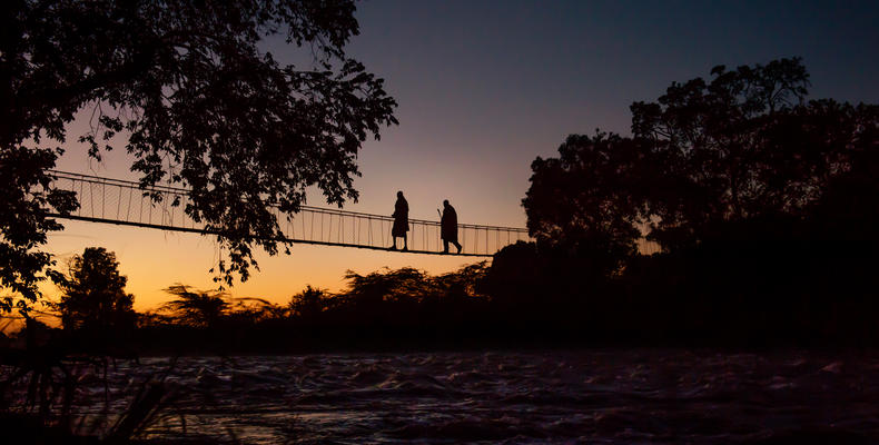 The bridge