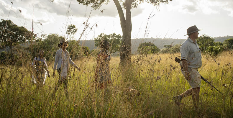 A walking safari