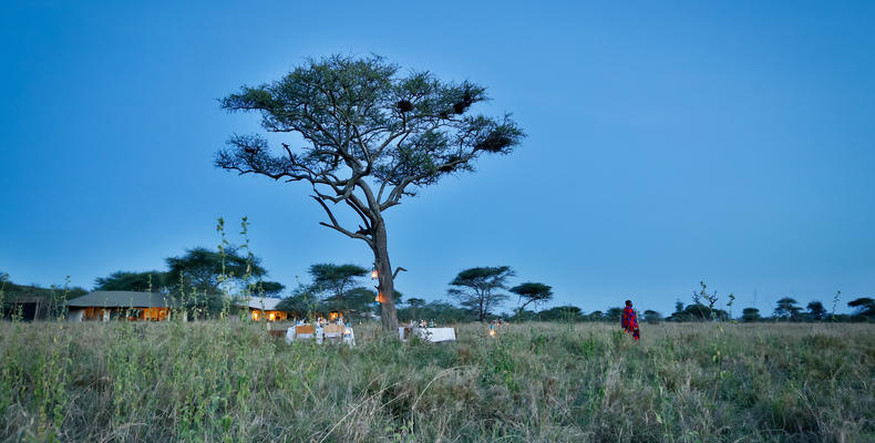 Bush Dinner