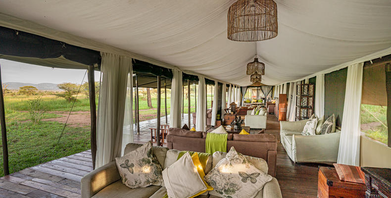Main Area - Lounge