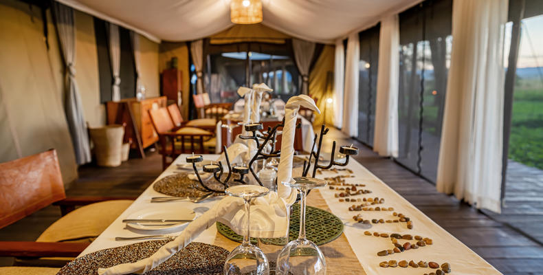 Main Area - Dining