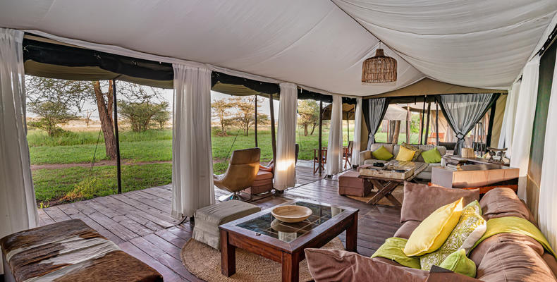 Main Area - Lounge