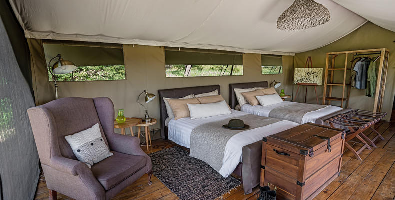 Standard Tent