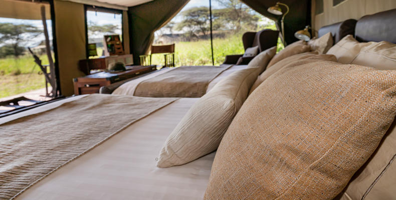 Standard Tent
