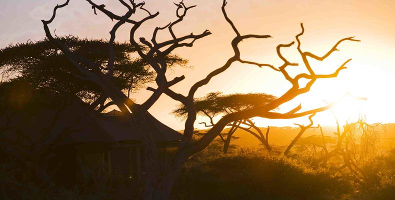 Masek Tented  Lodge - Ngorongoro - Serengeti