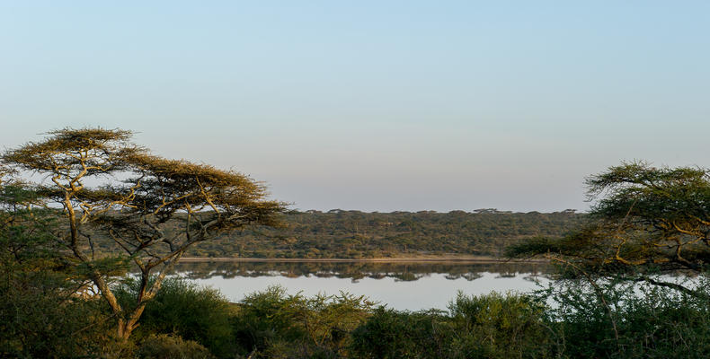 Masek Tented  Lodge - Ngorongoro - Serengeti