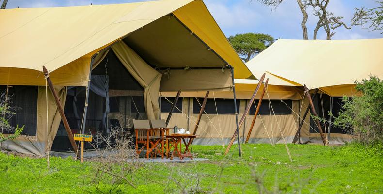 Family Tent View