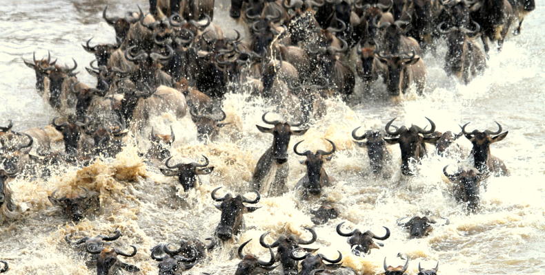 River Crossing
