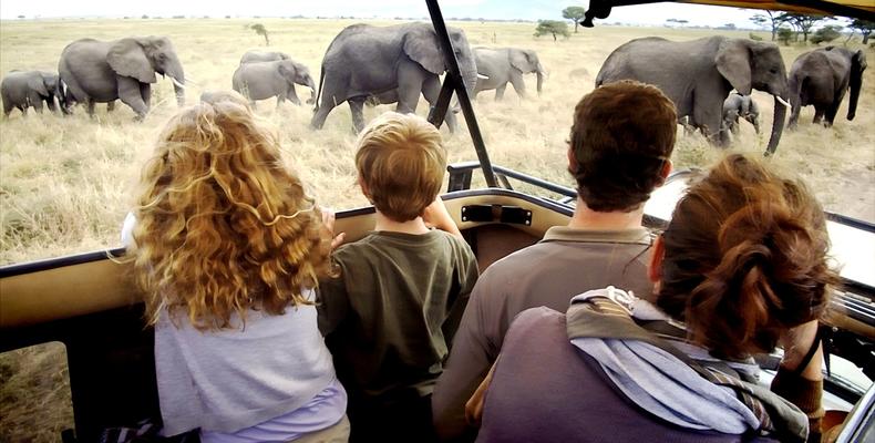 Game Drive