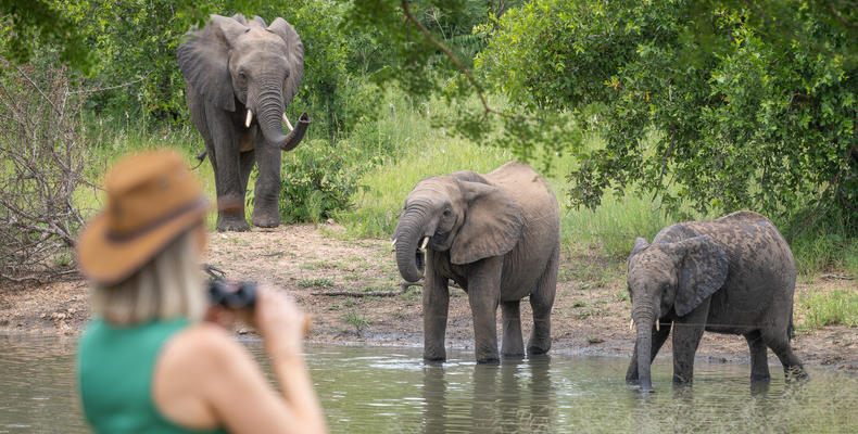 Waterhole
