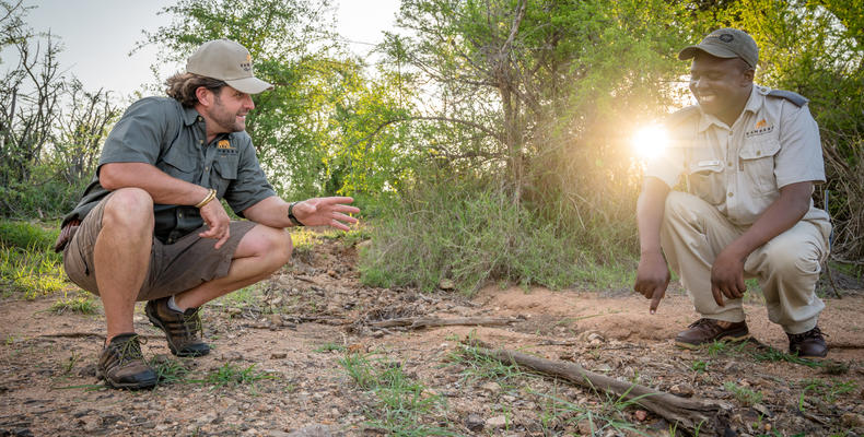 Kambaku Safari Lodge 