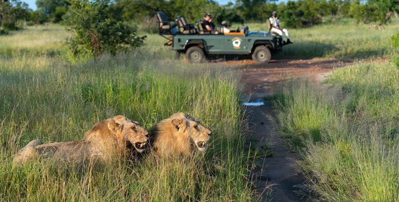 Game drive 