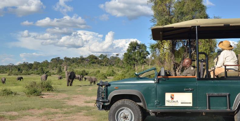 Ngoma Safari Lodge