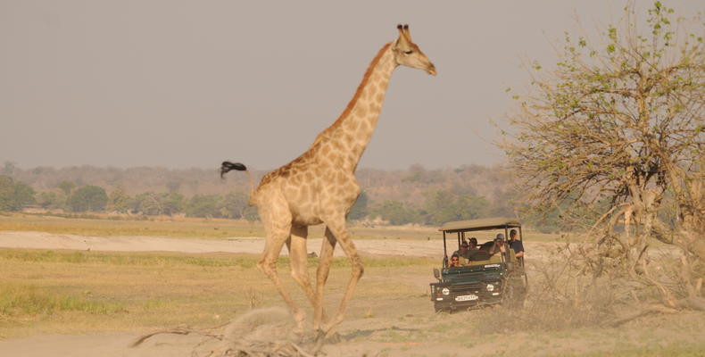 Ngoma Safari Lodge